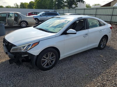 5NPE24AF8GH****** 2016 Hyundai Sonata
