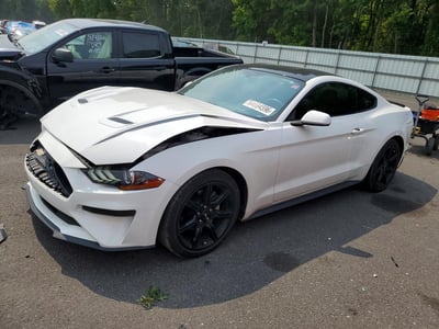 1FA6P8TH6J5****** 2018 Ford Mustang
