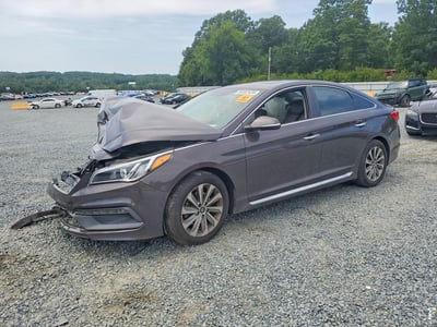 5NPE34AF1GH****** 2016 Hyundai Sonata