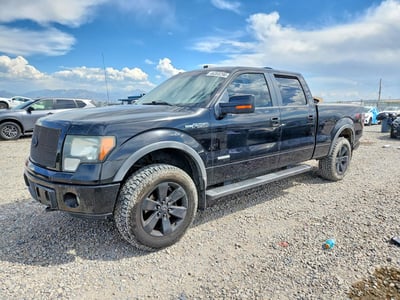 1FTFW1ET3BF****** 2011 Ford F-150