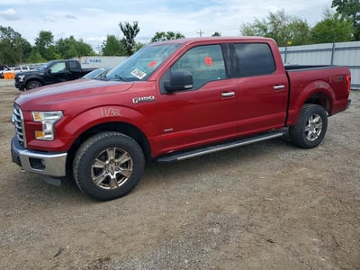 1FTEW1EG9FK****** 2015 Ford F-150