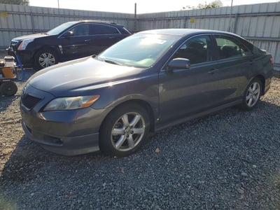 4T1BE46K49U****** 2009 Toyota Camry