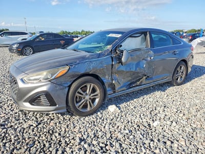5NPE34AF8KH****** 2019 Hyundai Sonata