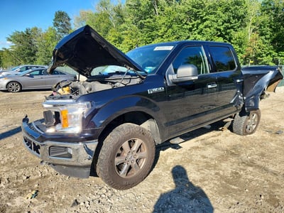 1FTEW1EP5KF****** 2019 Ford F-150