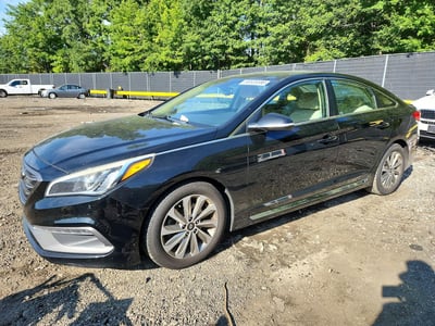 5NPE34AF8GH****** 2016 Hyundai Sonata