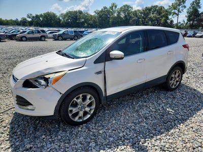 1FMCU0H96DU****** 2013 Ford Escape