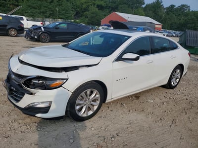 1G1ZD5ST3KF****** 2019 Chevrolet Malibu