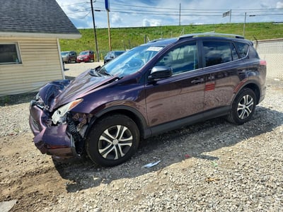 2T3BFREV7GW****** 2016 Toyota RAV4