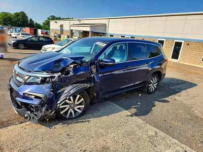 5FNYF6H51KB****** 2019 Honda Pilot