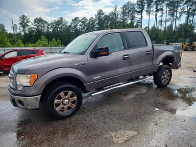 1FTFW1ET5EK****** 2014 Ford F-150