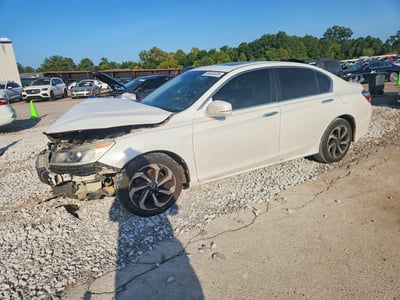1HGCR2F76HA****** 2017 Honda Accord