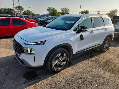 5NMS24AJ1PH****** 2023 Hyundai Santa Fe