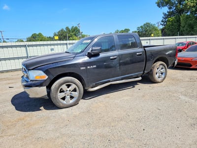 1D7RV1CT8AS****** 2010 Dodge Ram Pickup