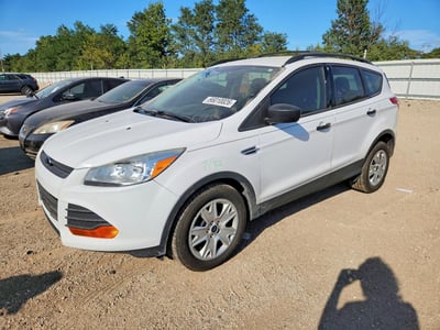 1FMCU0F79EU****** 2014 Ford Escape