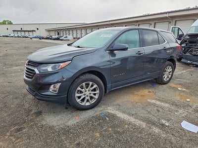 2GNAXTEV5K6****** 2019 Chevrolet Equinox