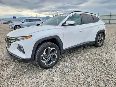 KM8JECA10PU****** 2023 Hyundai Tucson Hybrid