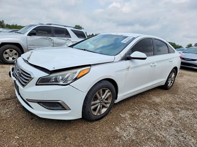 5NPE24AF7GH****** 2016 Hyundai Sonata
