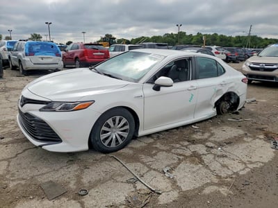 4T1B31HK2KU****** 2019 Toyota Camry