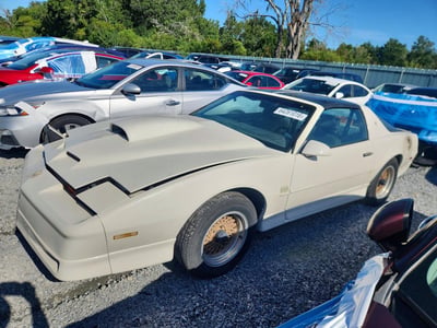 1G2FW2184KL****** 1989 Pontiac Firebird