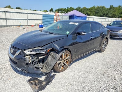 1N4AA6AVXKC****** 2019 Nissan Maxima