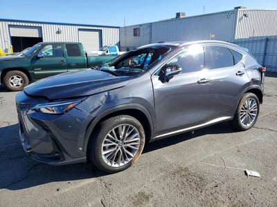 2025 Lexus NX