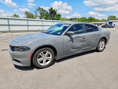 2C3CDXBG2KH****** 2019 Dodge Charger