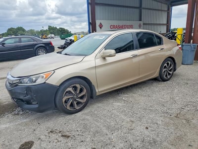 1HGCR2F02GA****** 2016 Honda Accord