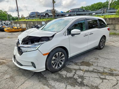 5FNRL6H65RB****** 2024 Honda Odyssey