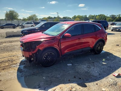 1FMCU0G6XLU****** 2020 Ford Escape