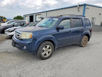 5FNYF4H56BB****** 2011 Honda Pilot