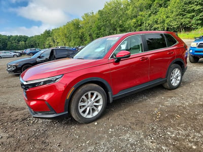 2HKRS4H70RH****** 2024 Honda CR-V