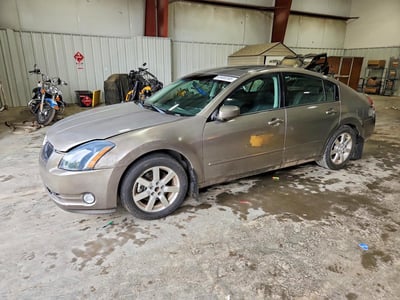 1N4BA41E26C****** 2006 Nissan Maxima