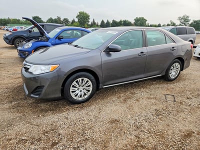 4T4BF1FK1DR****** 2013 Toyota Camry