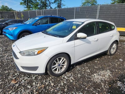 1FADP3K28FL****** 2015 Ford Focus