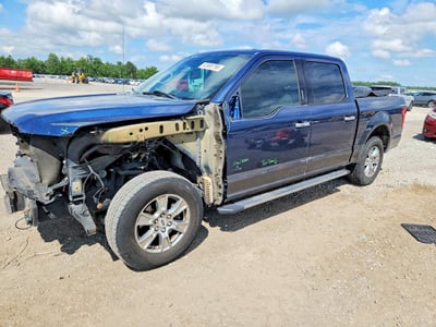 1FTEW1CG0FK****** 2015 Ford F-150