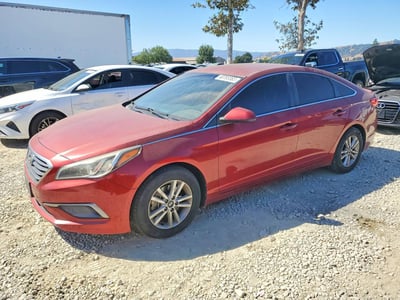 5NPE24AF7GH****** 2016 Hyundai Sonata