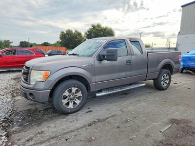 1FTFX1CF3DF****** 2013 Ford F-150