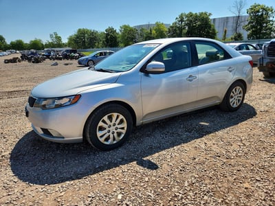 KNAFU4A25D5****** 2013 Kia Forte