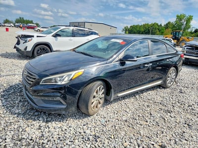 5NPE34AF5GH****** 2016 Hyundai Sonata