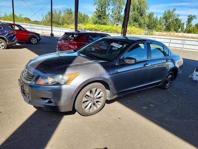 2008 Honda Accord