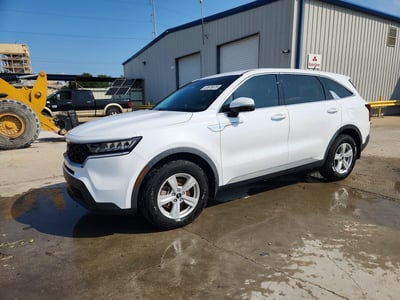 5XYRG4LC6PG****** 2023 Kia Sorento