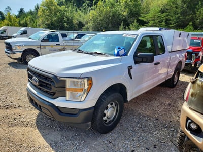 1FTFX1E8XMK****** 2021 Ford F-150