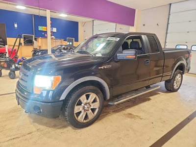 2010 Ford F-150