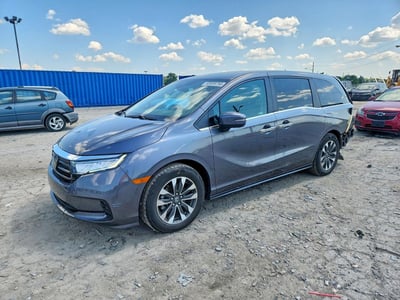 5FNRL6H62RB****** 2024 Honda Odyssey