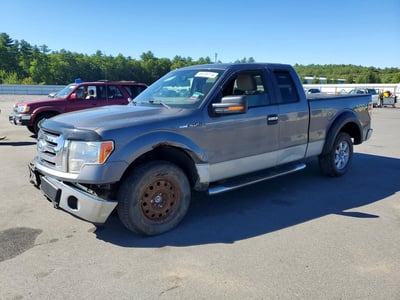 1FTPX14V19F****** 2009 Ford F-150