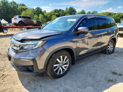 5FNYF6H50KB****** 2019 Honda Pilot