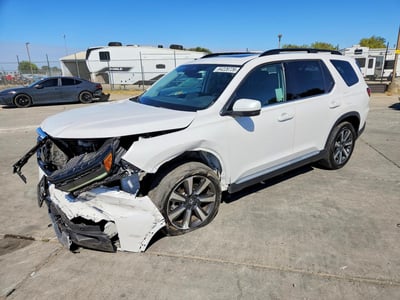 5FNYG1H78PB****** 2023 Honda Pilot