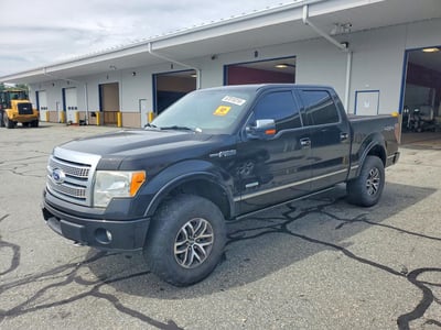 1FTFW1ET5BF****** 2011 Ford F-150