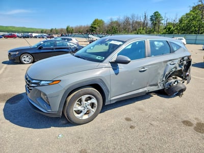 5NMJACDE1RH****** 2024 Hyundai Tucson