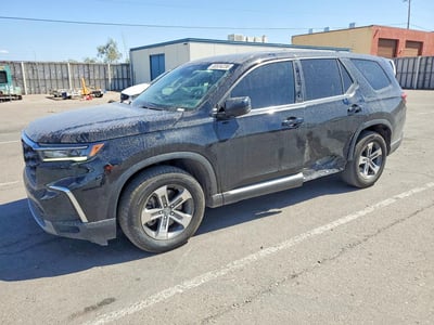 5FNYG2H41RB****** 2024 Honda Pilot